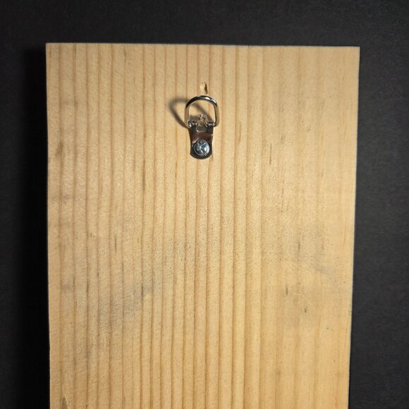 Seattle Seahawks Handcrafted Wood Mounted Bottle Opener - Picture 7 of 7